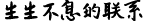 生生不息的联系