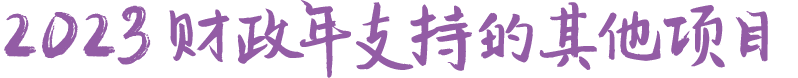 2023 财政年支持的其他项目
