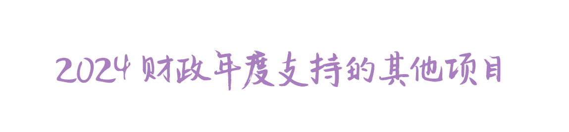 2024 财政年度支持的其他项目