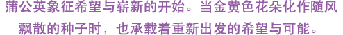 蒲公英象征希望与崭新的开始。当金黄色花朵化作随风飘散的种子时，也承载着重新出发的希望与可能。
