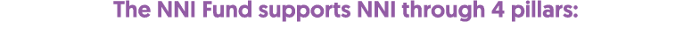 The NNI Fund supports NNI through 4 pillars: